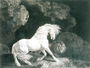 The Horse and the Lion, 1770 Reproduction