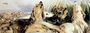 Otter Hounds Reproduction
