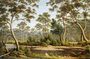 The River Nile Van Diemans Land from Mr Glovers Farm Reproduction