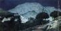 Moonliight Capri Reproduction