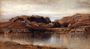Rocky Landscape Reproduction