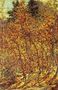 Autumn Sunlight Reproduction