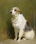Portrait of Pilu, a Performing Dog, 1910 Reproduction
