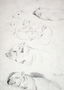 Studies of Pigs Reproduction