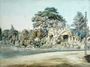 The Grotto, Virginia Water  Reproduction