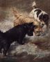 Terriers rabbiting Reproduction