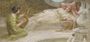 Idylls of summer Reproduction