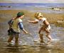 Playing in the Shallows Reproduction