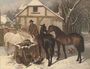 A winter feed Reproduction