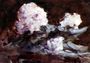 Rhododendrons Reproduction