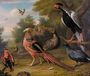 Exotic Pheasants and Other Birds 1740 Reproduction